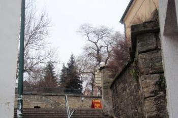  (© Rostislav Vondra, 12/2007)