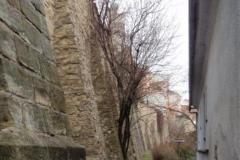  (© Rostislav Vondra, 12/2007)