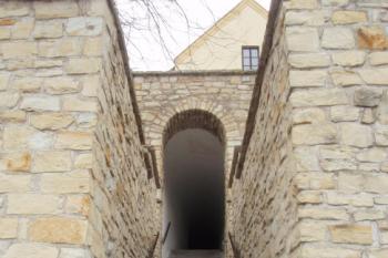  (© Rostislav Vondra, 12/2007)