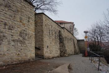  (© Rostislav Vondra, 12/2007)