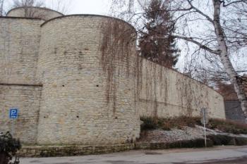  (© Rostislav Vondra, 12/2007)