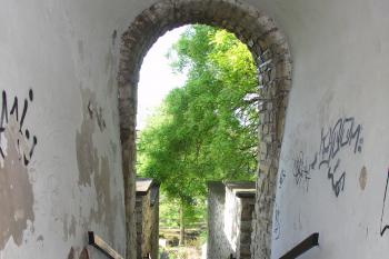 Tmavá fortna (© Karel Husák, 05/2010)