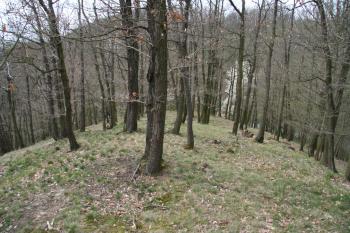 Hrad za druhý příkopem ( © Petr Nožička 04/2010)