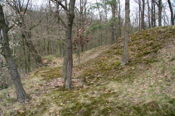 Příkop oddělující teď už zaniklé jádro hradu ( © Petr Nožička 04/2010)