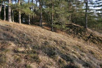 Příkop ( © Luděk Pitter 01/2008)
