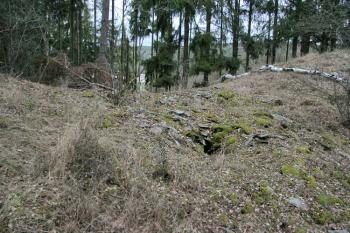 Příkop ( © Luděk Pitter 01/2008)