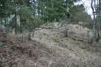 Příkop ( © Luděk Pitter 01/2008)