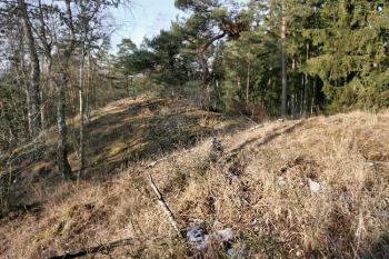 Stará přístupová cesta ( © Luděk Pitter 01/2008)