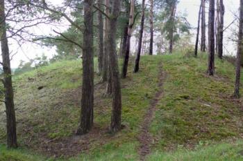 hrádek u manětína (© zdeněk komínek, 05/2010)