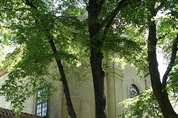 Západní průčelí ( © Ivan Grisa 05/2009)