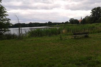 Chropyňský rybník, u kterého hrad stával (v pozadí zámek) ( © Ivo Rozehnal 06/2015)