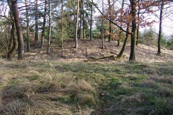  ( © Roman Řezáč 02/2008)