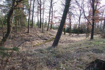  ( © Roman Řezáč 02/2008)