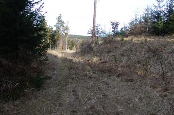  ( © Roman Řezáč 02/2008)