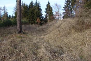  ( © Roman Řezáč 02/2008)