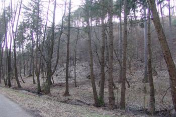  ( © Roman Řezáč 02/2008)