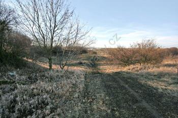 Tvrziště od jihovýchodu ( © Luděk Pitter 01/2008)