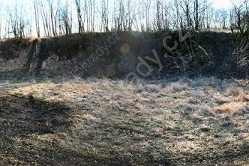 pohled z jádra tvrziště přes příkop k jihu ( © Pavel Zany Komárek 31.1. 2008)