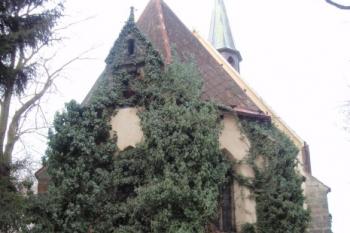  (© Rostislav Vondra, 01/2008)