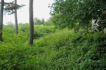 napravo na pahorku hrádku vyčnívá chata, následuje příkop a rozšířený val, na kterém snad stával obranný srub ( © Ondřej Štěpánek 06/2006)