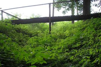 severní příkop a můstek do jádra hrádku ( © Ondřej Štěpánek 06/2006)
