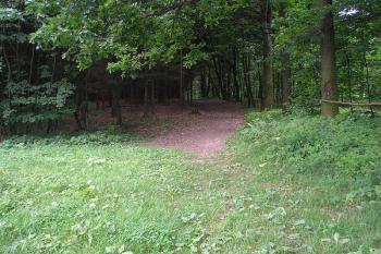 přístupová cesta k hrádku ( © Ondřej Štěpánek 06/2006)