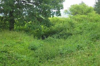 vlevo plocha hrádku přecházející v příkop a val ( © Ondřej Štěpánek 06/2006)