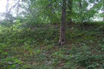 vnější strana severního valu ( © Ondřej Štěpánek 06/2006)
