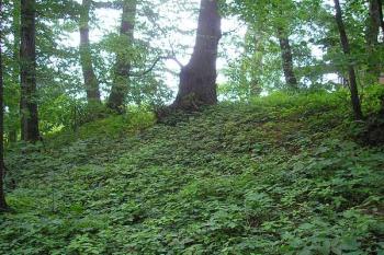 vnější strana západního valu ( © Ondřej Štěpánek 06/2006)