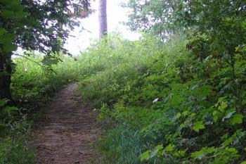 dnešní přístupová cesta k hrádku ( © Ondřej Štěpánek 06/2006)