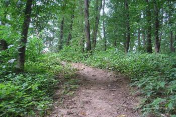 dnešní přístupová cesta k hrádku ( © Ondřej Štěpánek 06/2006)