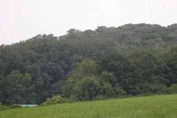 vlevo střecha chaty v údolíčku pod hradním kopcem, na temeni kopce se nacházel hrádek ( © Ondřej Štěpánek 06/2006)
