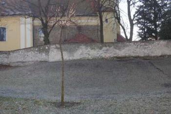 pohled od severu na zbytky bývalého hradu s částečně zachovalým příkopem ( © Ondřej Štěpánek 02/2008)