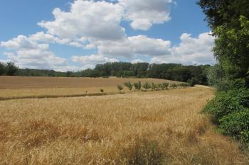 Panoramatický pohled na lokalitu (© Dušan Dohňanský 07/2019)