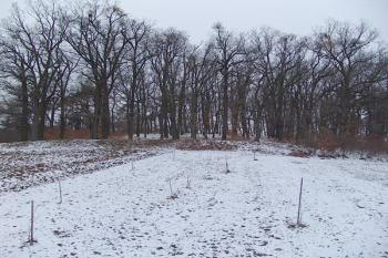  ( © Roman Řezáč 02/2008)