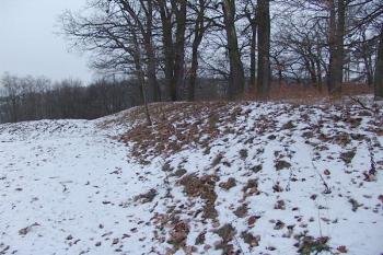  ( © Roman Řezáč 02/2008)