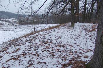  ( © Roman Řezáč 02/2008)