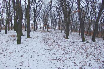  ( © Roman Řezáč 02/2008)