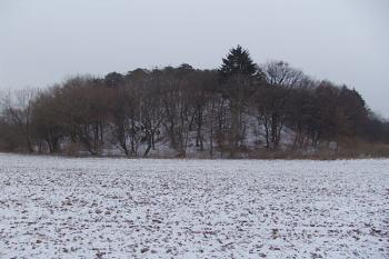  ( © Roman Řezáč 02/2008)