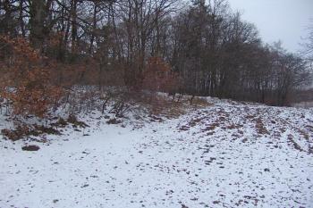  ( © Roman Řezáč 02/2008)