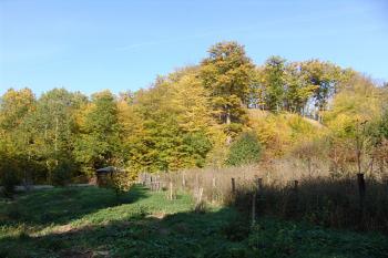  ( © Roman Řezáč 10/2006)