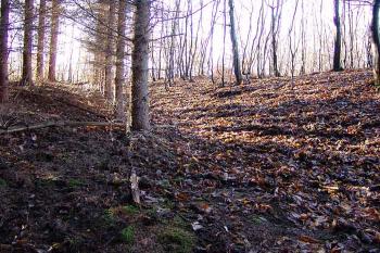  ( © Roman Řezáč 01/2007)