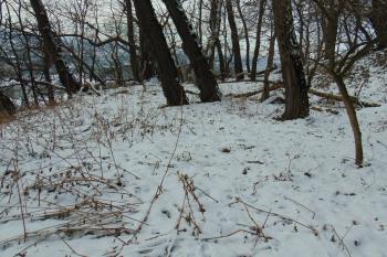 Možný parkánový pás podél jižní strany (© Dušan Dohňanský  01/2024)