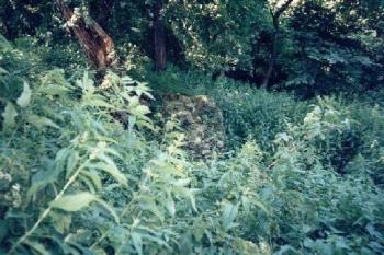 Landek (1999 ©Radim Bystroň)