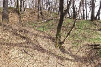 Pohled přes příkopy a val na jádro hradu v pozadí ( © Jan P. Štěpánek 04/2006)