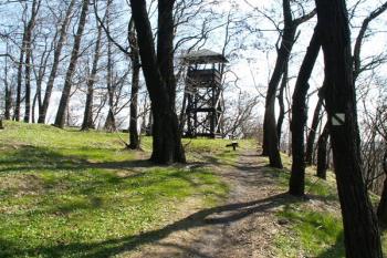 Dřevěná rozhledna umístěná na ploše hradního jádra ( © Miroslav BITTER 04/2007)