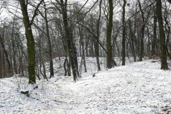 prostor současného vstupu do areálu plochy hradu ( © Jan P. Štěpánek 01/2009)
