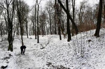 celkový pohled na areál z místa vyústění prvního příkopu do svahu na severovýchodě ( © Jan P. Štěpánek 01/2009)