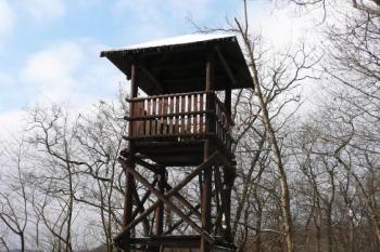 dřevěná rozhledna v jižním cípu plochy hradu ( © Jan P. Štěpánek 01/2009)