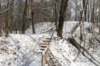 pohled na hrad z plošiny na jihozápadě ( © Jan P. Štěpánek 01/2009)